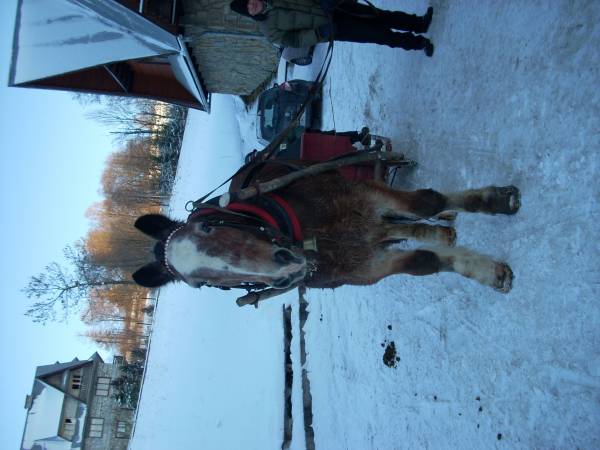 Pokoje Gościnne Chochołów