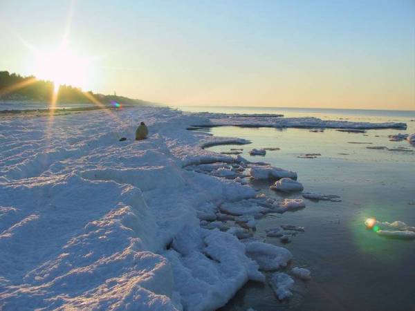 Gajówka - Całoroczne Pokoje i Apartamenty