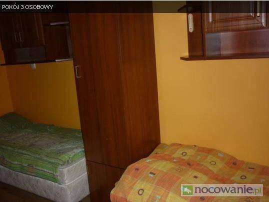 AllDom pokoje kwatry domy do wynajęcia