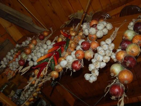 Gospodarstwo Agroturystyczne Nad Wodą