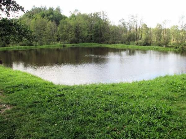 Gospodarstwo Agroturystyczne Nad Wodą