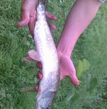 Gospodarstwo Agroturystyczne Nad Wodą