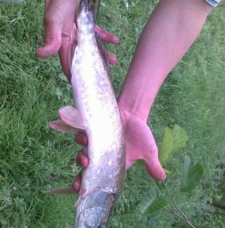 Gospodarstwo Agroturystyczne Nad Wodą