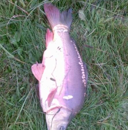 Gospodarstwo Agroturystyczne Nad Wodą