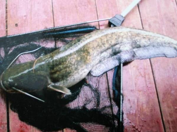 Gospodarstwo Agroturystyczne Nad Wodą