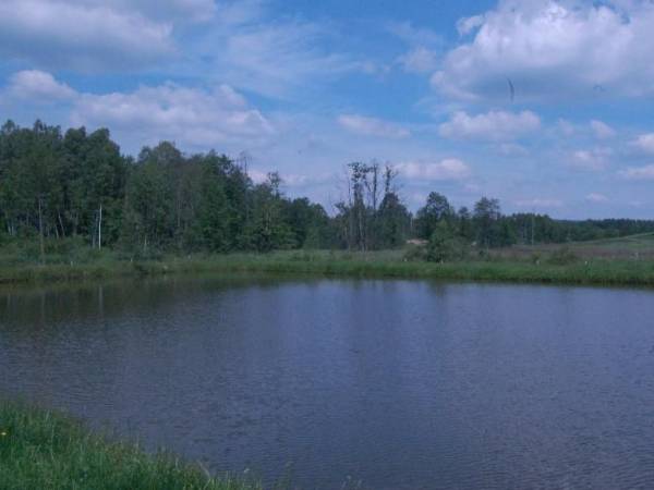 Gospodarstwo Agroturystyczne Nad Wodą