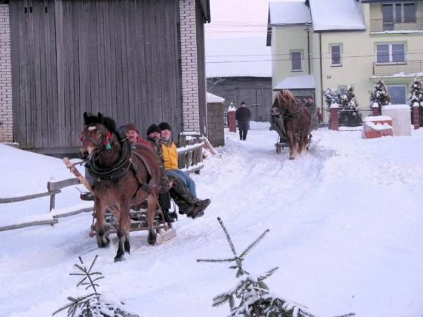 Gospodarstwo Agroturystyczne Nad Wodą