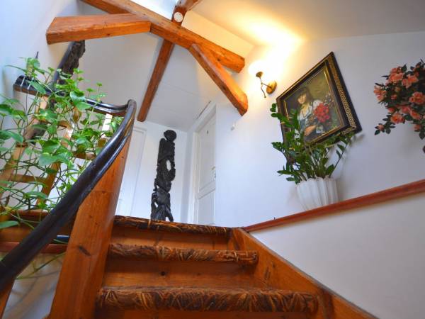 Gospodarstwo Agroturystyczne AS