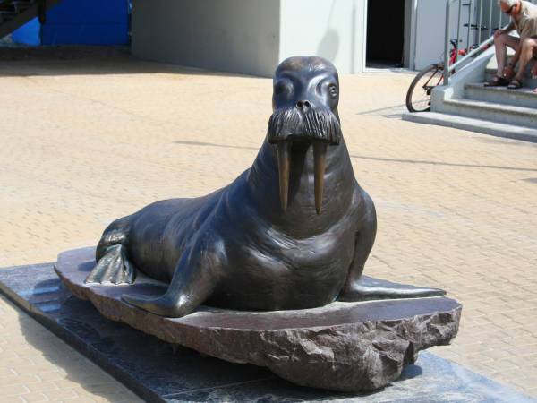 Pomnik morsa - symbol kąpiących się zimą