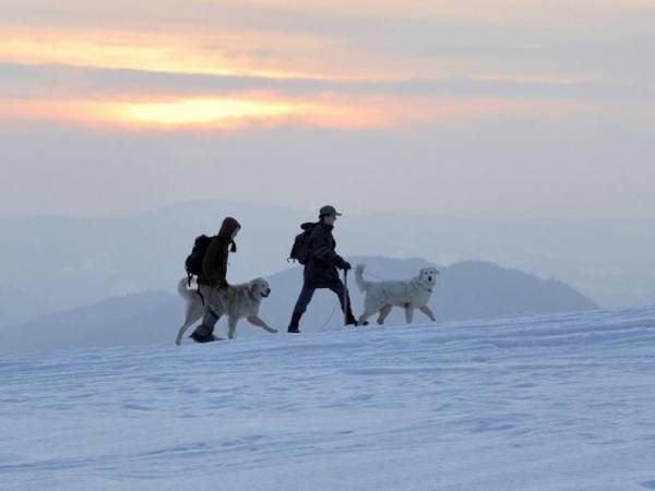 UZDROWISKO MUSZYNA NAD POPRADEM
