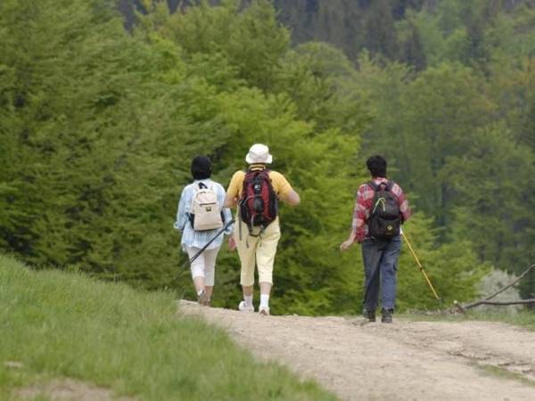 UZDROWISKO MUSZYNA NAD POPRADEM