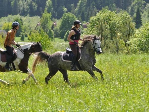 UZDROWISKO MUSZYNA NAD POPRADEM