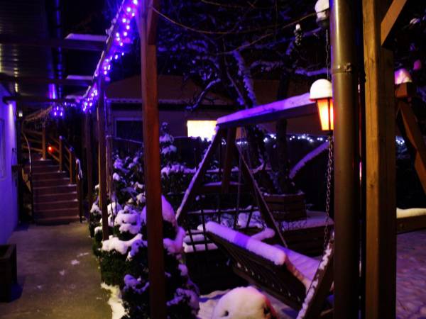 Apartamenty pod Wiciokrzewem