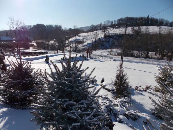 Całoroczne domki z kominkami - widok z domku