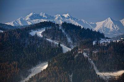 Widok na Tatry 15 minut w górę od naszego domu