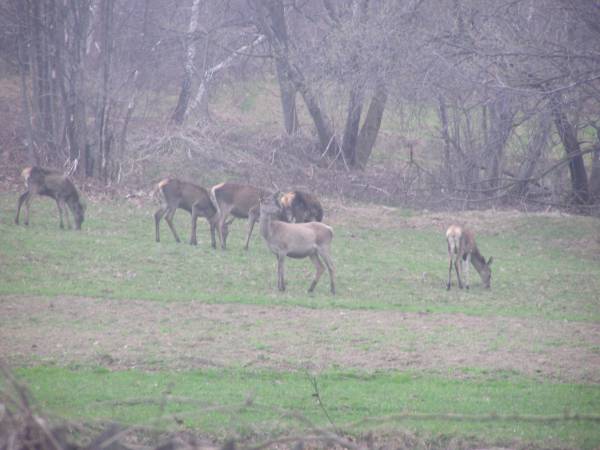Agroturystyka Krystyna i Zygmunt Kąkol