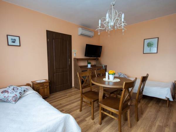 SPA Willa pod Czantorią Ustroń