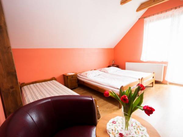 SPA Willa pod Czantorią Ustroń