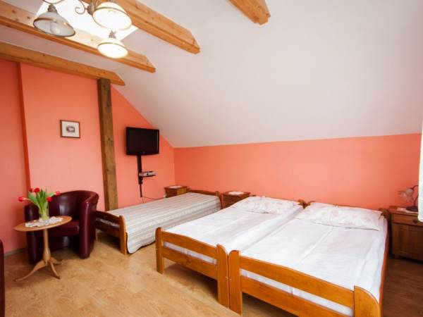 SPA Willa pod Czantorią Ustroń