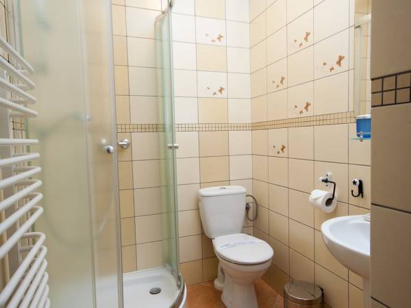 SPA Willa pod Czantorią Ustroń