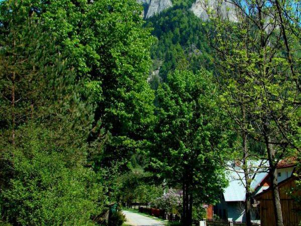 Pokoje Gościnne U Sobka