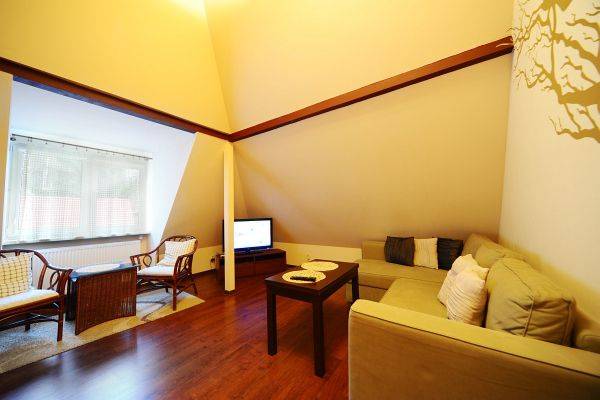 Apartament brazowy , dwupokojowy z aneksem kuchennym