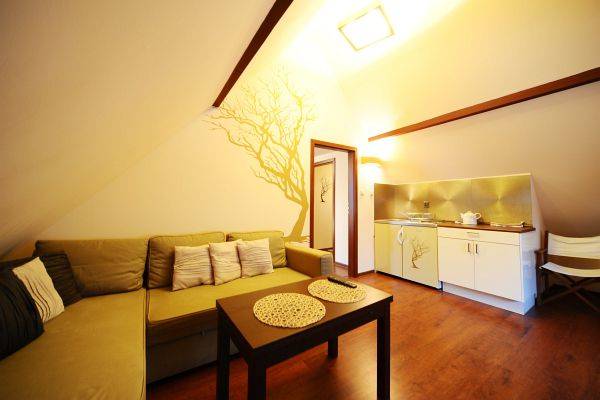 Apartament brązowy,dwupokojowy z aneksem kuchennym