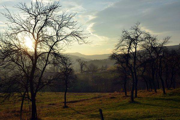 Agroturystyka na Niedźwiedziej