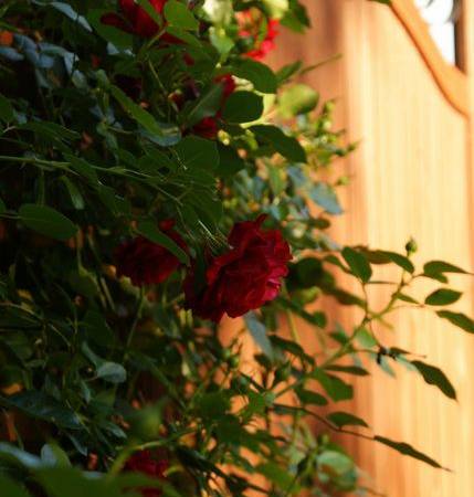 Anita Komfortowe Pokoje