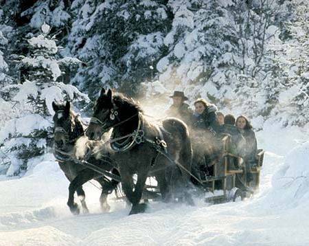 Willa Róż w Międzygórzu