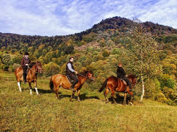 Agroturystyka Pod Łopiennikiem