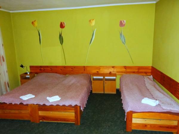 Pokoje Eliza - Noclegi Eliza