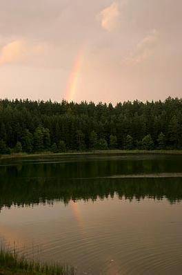 Gospodarstwo Pani Zofii