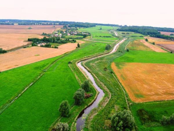 DOMKI DREWNIANE - MAGNOLIA