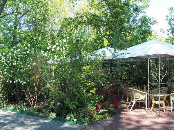 Noclegi Pod Wierzbą 