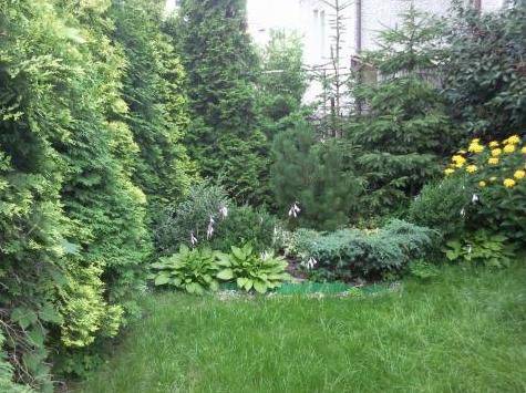 Noclegi Przy Szpitalu