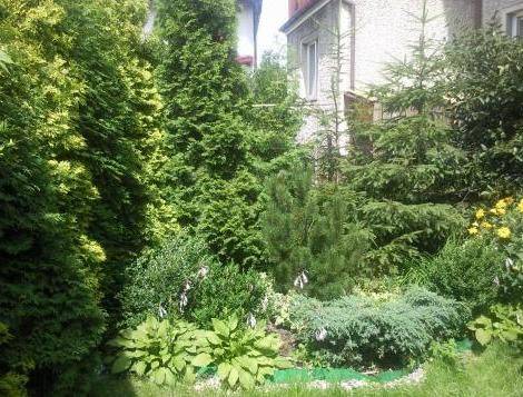 Noclegi Przy Szpitalu