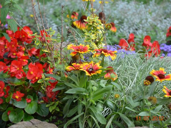 Ośrodek Wypoczynkowy Komandor