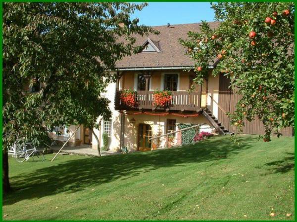 Pensjonat pod kasztanem