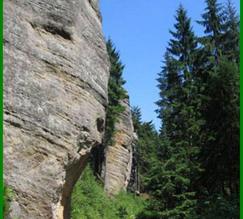 Pensjonat pod kasztanem