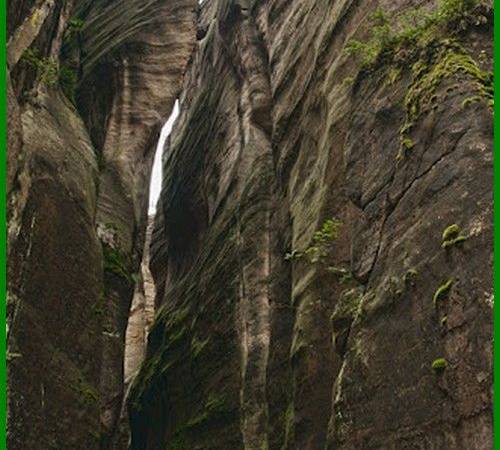 Pensjonat pod kasztanem