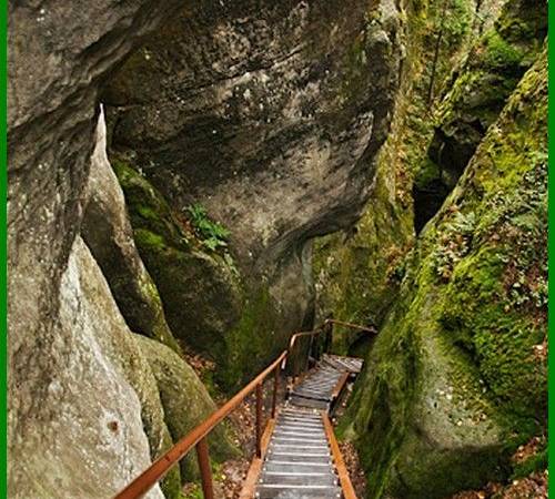 Pensjonat pod kasztanem