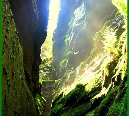 Pensjonat pod kasztanem