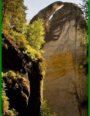 Pensjonat pod kasztanem