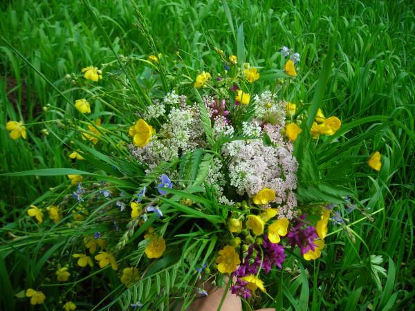 Domek i Agroturystyka U Janusza 