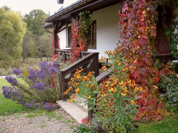 Pokoje Gościnne Werchowyna w Wetlinie