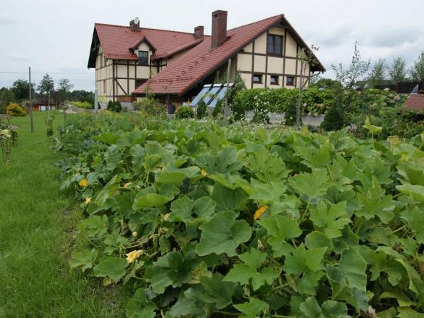 Widok chaty z ogrodu