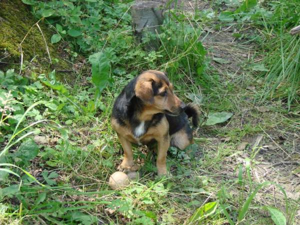 Agoturystyka u Juraszków