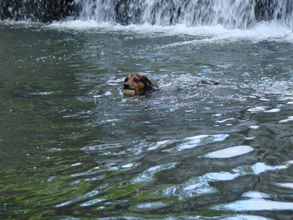 Agoturystyka u Juraszków