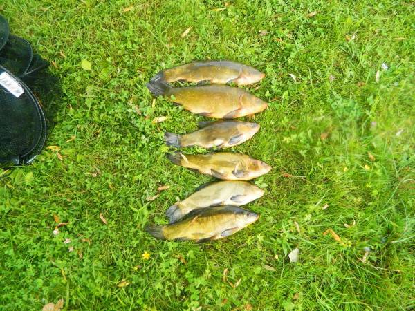 Ośrodek Wypoczynkowy KACPER BRENNO